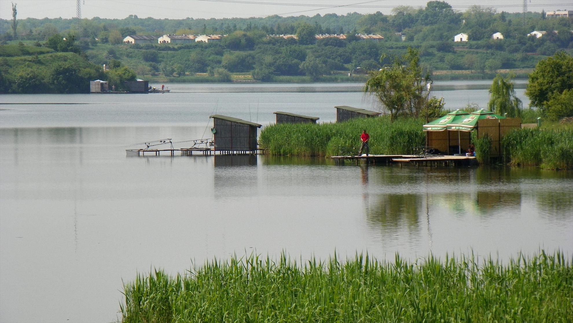 Crapmania - 2011 - 1000723.JPG